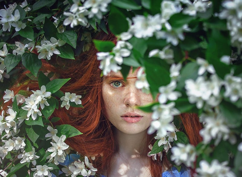 Whimsical Woods